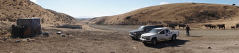 Enlarge photo 372