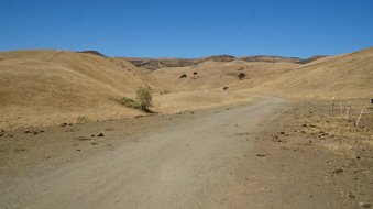 Enlarge photo 376