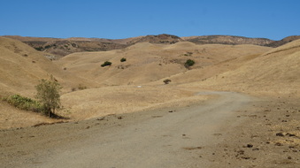 Enlarge photo 377