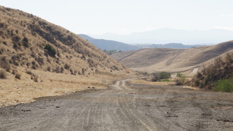 Enlarge photo 379