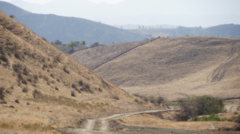 Enlarge photo 381