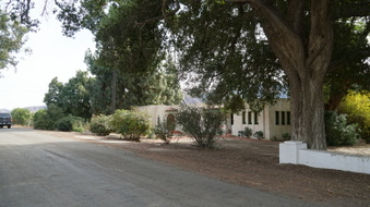 Enlarge photo 145
