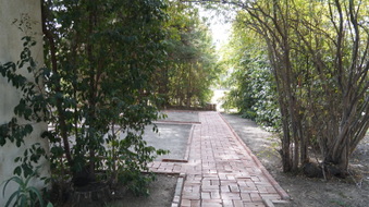 Enlarge photo 161