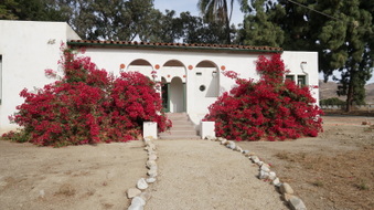 Enlarge photo 36