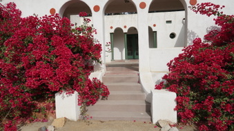 Enlarge photo 37
