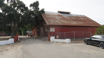 Enlarge photo 43