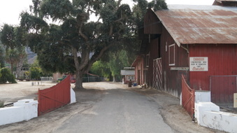 Enlarge photo 174