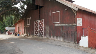 Enlarge photo 175