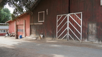 Enlarge photo 177