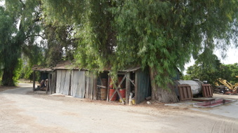 Enlarge photo 56