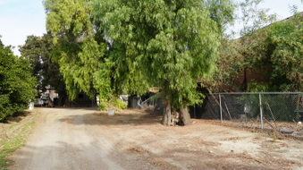 Enlarge photo 197
