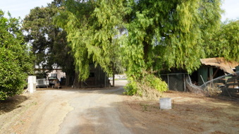 Enlarge photo 68