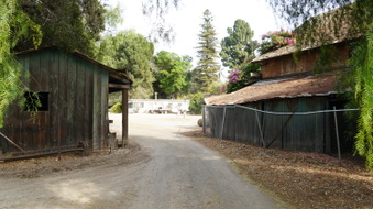 Enlarge photo 69