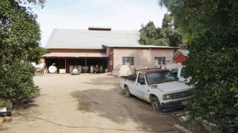 Enlarge photo 71