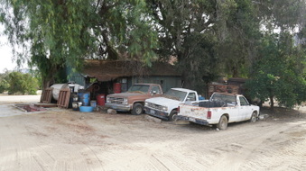 Enlarge photo 207