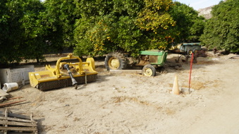 Enlarge photo 82