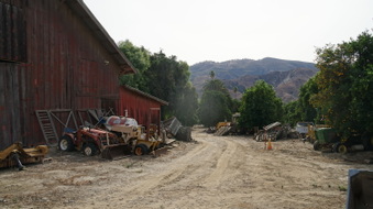 Enlarge photo 214