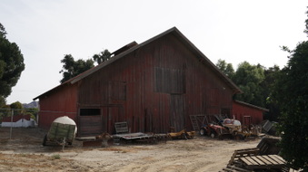 Enlarge photo 85