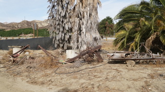 Enlarge photo 217