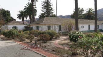 Enlarge photo 221