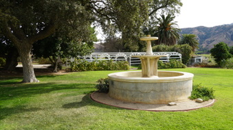 Enlarge photo 233