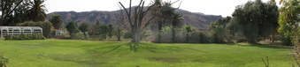 Enlarge photo 106