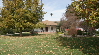 Enlarge photo 242