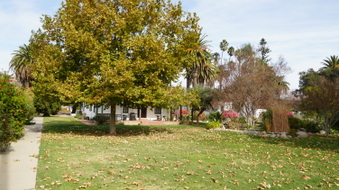 Enlarge photo 244