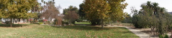 Enlarge photo 245