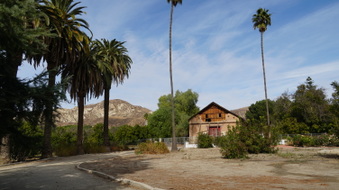 Enlarge photo 120