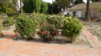 Enlarge photo 255