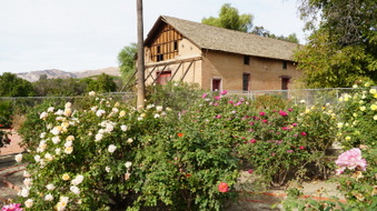 Enlarge photo 256