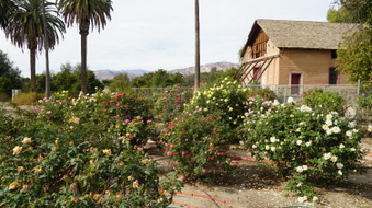 Enlarge photo 257