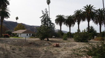 Enlarge photo 259