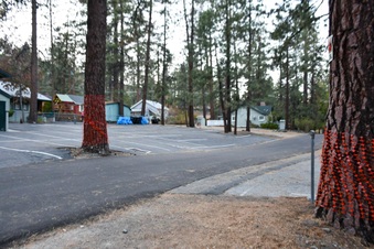 Enlarge photo 2
