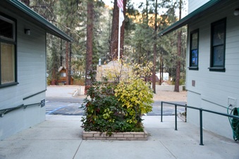Enlarge photo 6