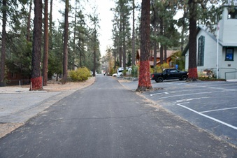 Enlarge photo 7