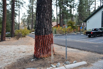 Enlarge photo 20