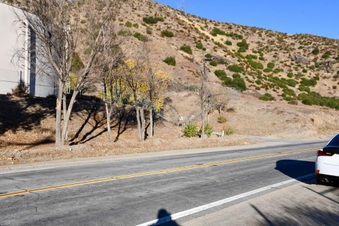 Enlarge photo 10