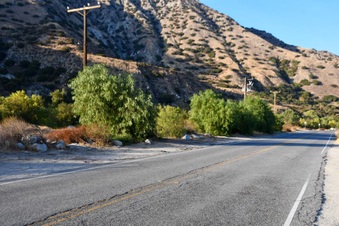 Enlarge photo 3