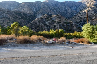 Enlarge photo 8