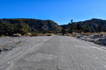 Enlarge photo 19