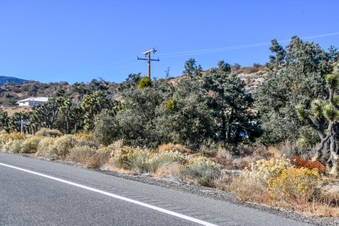 Enlarge photo 3