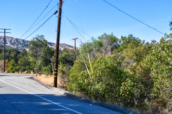 Enlarge photo 11