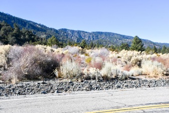 Enlarge photo 13