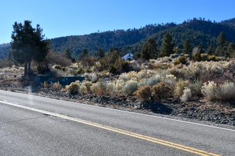 Enlarge photo 15