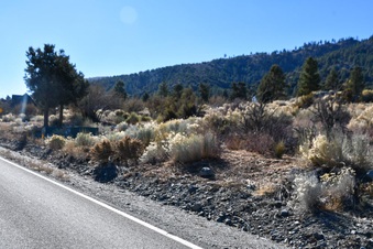 Enlarge photo 17