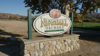 CA-126 & 6972 E Telegraph Rd - PIRU