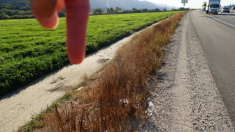 Enlarge photo 11