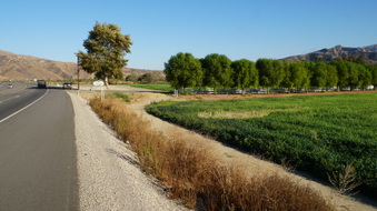Enlarge photo 14